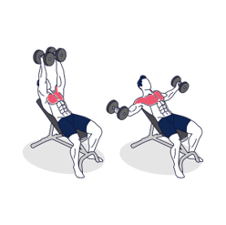 Aperturas con mancuernas